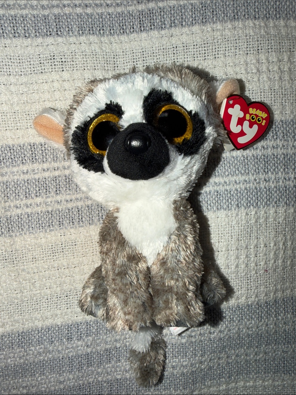 Ty Brown and White Lemur Beanie Boo with Gold Eyes